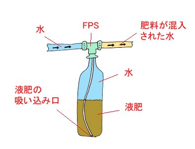 BlueBerryHouse 商品詳細